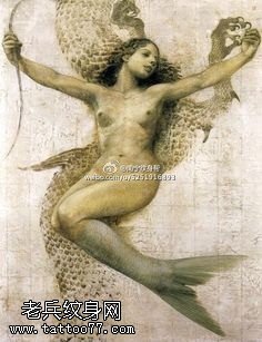 性感美丽的美人鱼手稿纹身图案