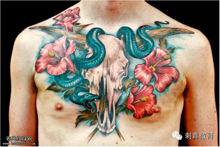 胸部羊骷髅头妖艳蛇纹身图片