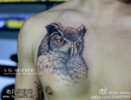 威风严厉猫头鹰纹身图案