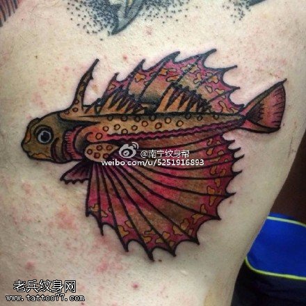 深海底的小动物纹身图案