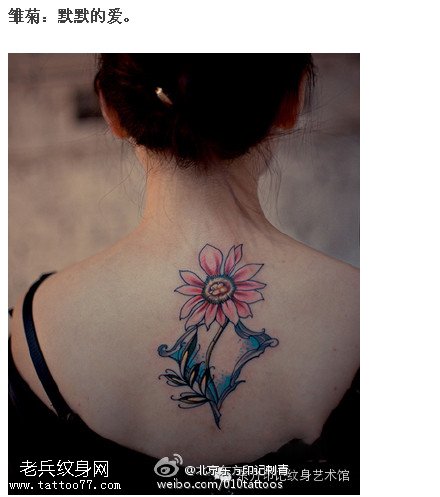 清新淡雅的邹菊纹身图案