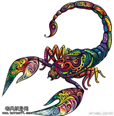 彩绘漂亮的蝎子手稿纹身图案