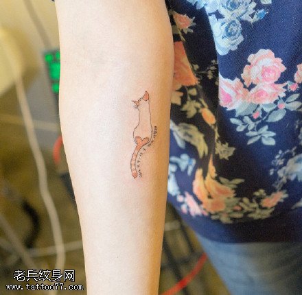 经典点刺清新的猫咪纹身图案