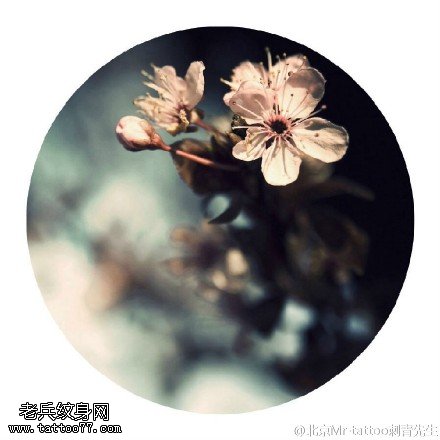 优美的桃花手稿纹身图案