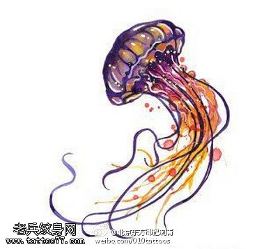 彩绘水母手稿纹身图案