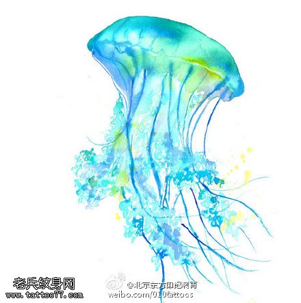 水墨蓝色水母手稿纹身图案