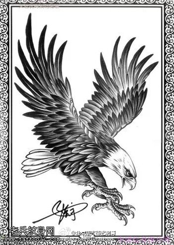 经典的老鹰纹身图案