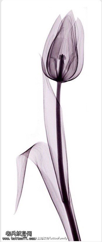 漂亮的手工郁金香花纹身图案缩略频道推荐图