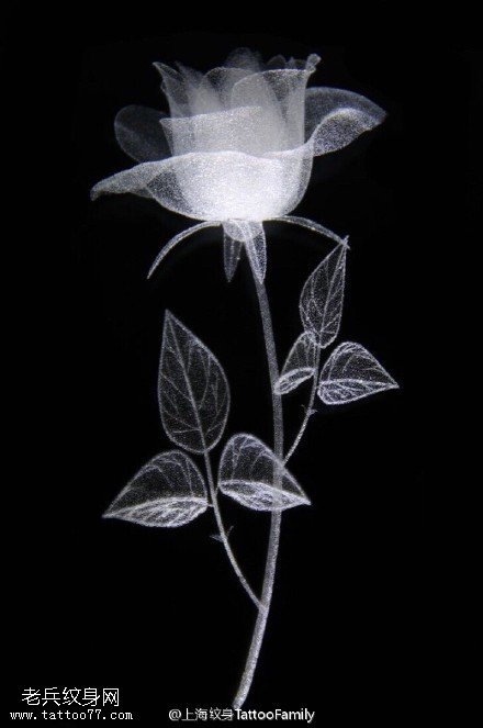 精美的工艺品玫瑰纹身图案