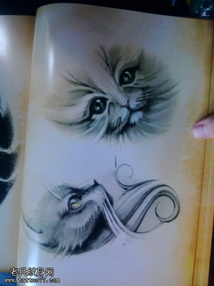 猫咪纹身图案