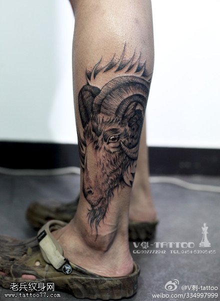 长寿羚羊纹身图案