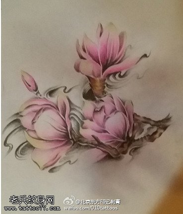 漂亮的木兰花手稿纹身图案