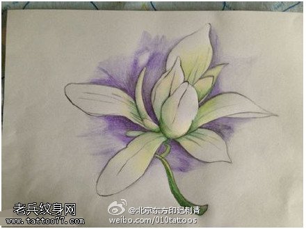 优美的木兰花手稿纹身图案