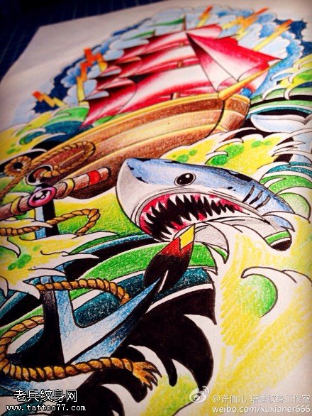 彩色帆船鲨鱼船锚纹身手稿图片