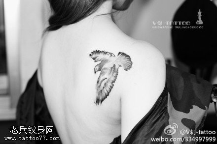 和平鸽子纹身图案