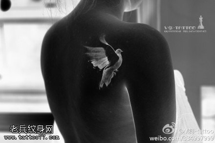 可爱飞翔鸽子纹身图案