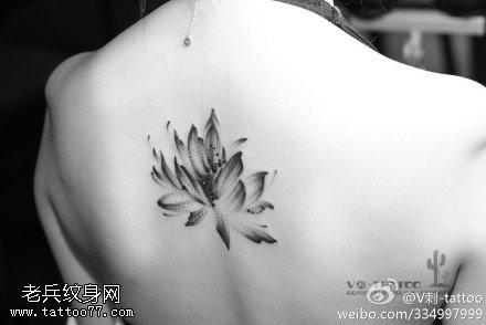 盛开精致莲花纹身图案