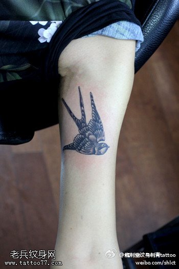 胳膊点刺燕子纹身图案