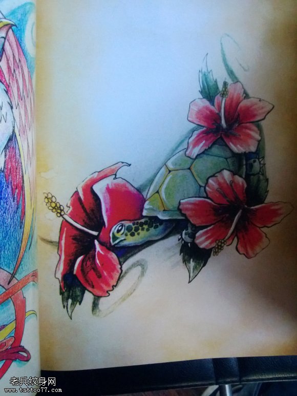 一张乌龟纹身图案