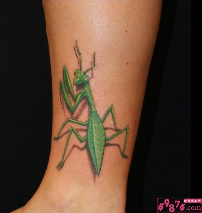 男人腿部蝗虫纹身图片