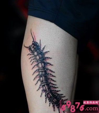 蜈蚣纹身图片