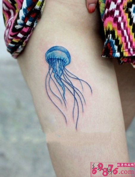 大腿可爱彩色水母图片