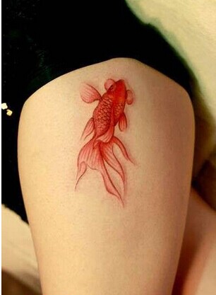 女生腿部漂亮性感高清的小金鱼纹身图图片