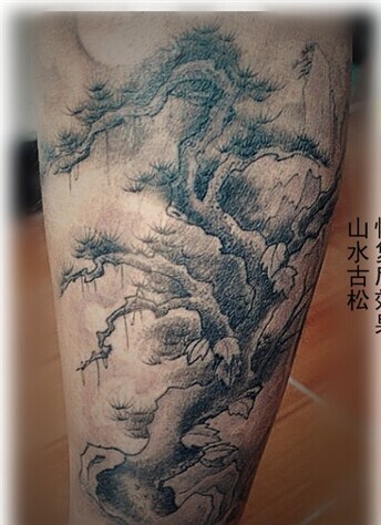 男生小腿部位经典漂亮的国画山水古松图片