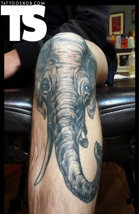 美女腿部一款个性象纹身图案图片