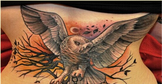 个性的猫头鹰纹身图案大全图片
