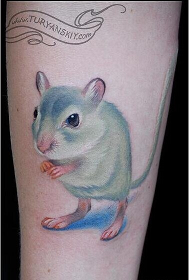 可爱的腿部老鼠纹身图图片图片