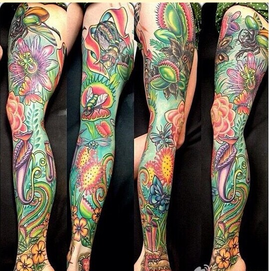 时尚女性漂亮花腿纹身图案图片