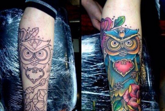 个性腿部好看的彩色猫头鹰钥匙玫瑰花图片