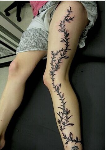 时尚女性腿部长型漂亮好看的花藤纹身图片