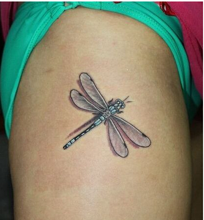 时尚女性腿部好看的小蜻蜓纹身图案 图片