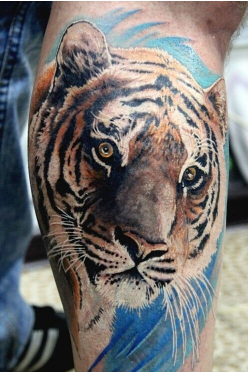 男人腿部经典时尚好看的彩色虎头纹身图片