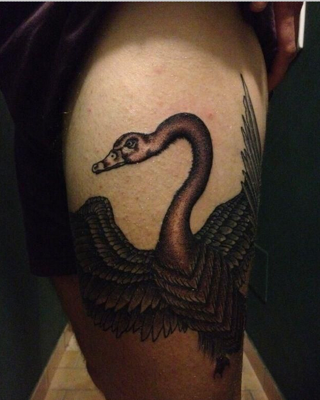 个性腿部时尚好看的黑天鹅纹身图片图片