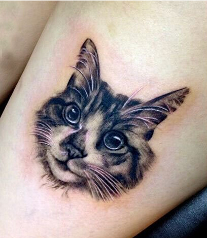 美女腿部鹏爱漂亮好看的猫咪头像纹身图片