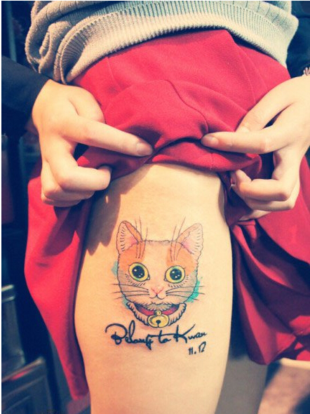 腿部很萌很可爱漂亮好看的猫咪纹身图图片