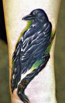 脚部乌鸦纹身图案欣赏图片