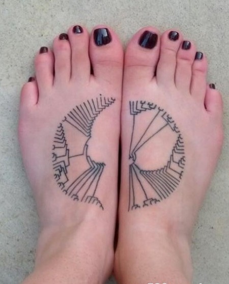 漂亮时尚双脚进化树的纹身图案图片