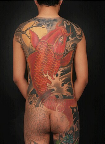 漂亮的鲤鱼满背纹身