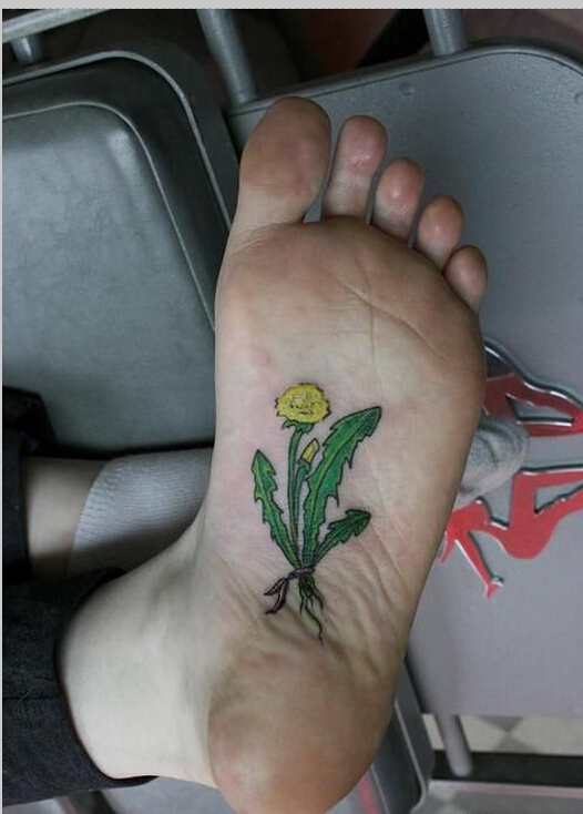 漂亮脚底板上一棵漂亮好看的蒲公英纹图片