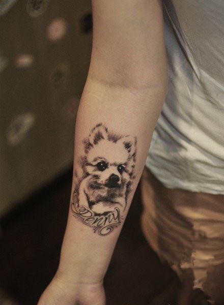 手臂上可爱的小动物纹身