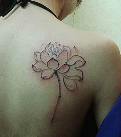 精美的荷花知性美