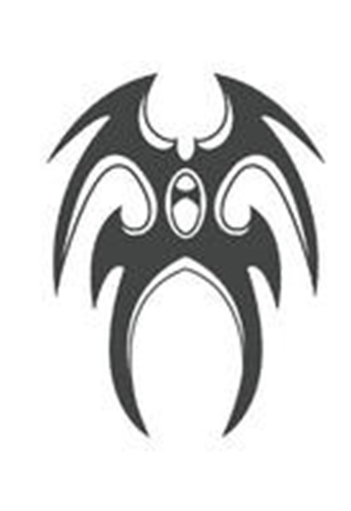 天天向上欧弟纹身