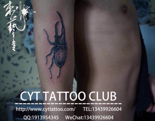 个性甲壳虫手臂纹身