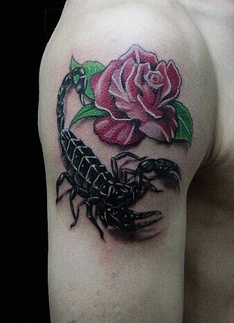 胳膊上逼真的蝎子纹身