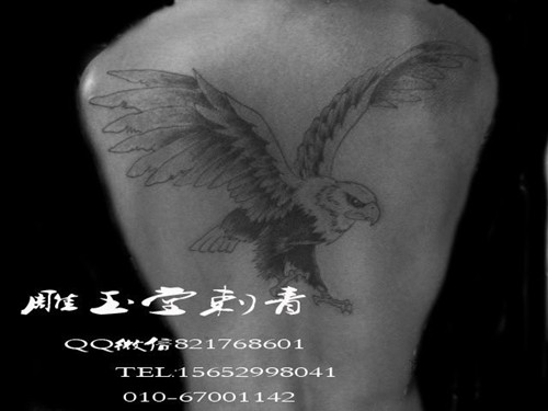 性感的后背纹身 锁骨纹身 腰部纹身