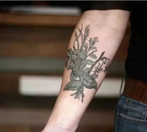 将自然随身携带